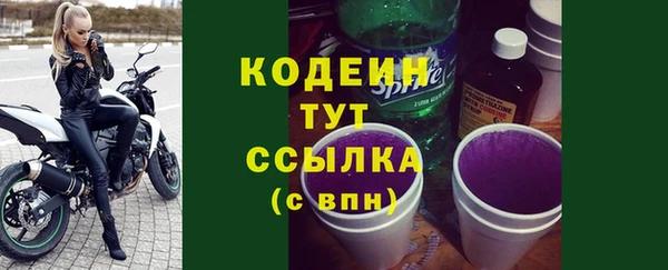 гидра Богородск