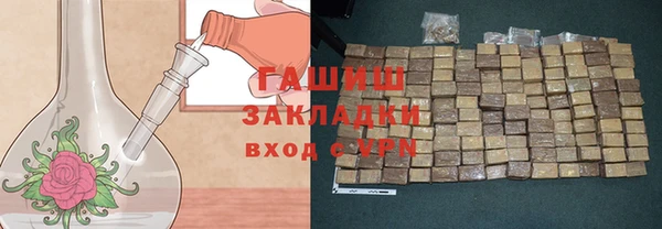 гидра Богородск