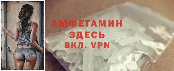 гидра Богородск