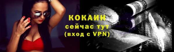 гидра Богородск