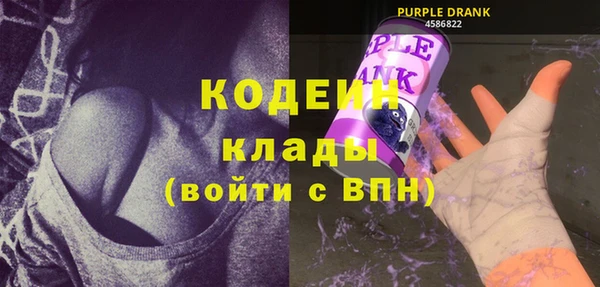 гидра Богородск