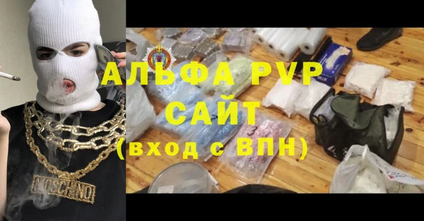 гидра Богородск