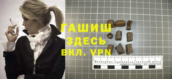гидра Богородск
