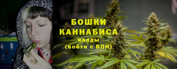 гидра Богородск