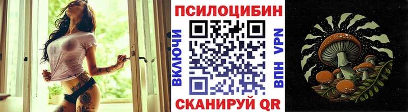 Купить  Губкин  Галлюциногенные грибы ЛСД 